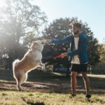 Monitoring Your Dog’s Exercise Levels: A Complete Guide for Dog Owners