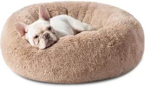 donut dog bed