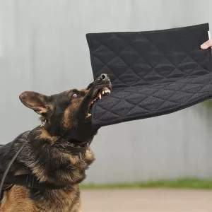 Indestructible Dog Beds