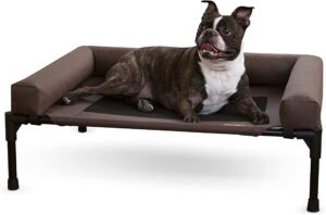 Best cooling dog bed for shetland