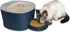 Automatic dog feeder for dogs