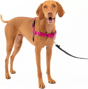 
PetSafe Easy Walk Dog Harness