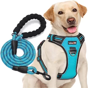 tobeDRI No Pull Dog Harness 