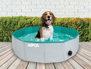 Portable dog grooming tub