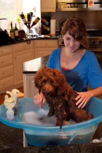 portable dog grooming tubs