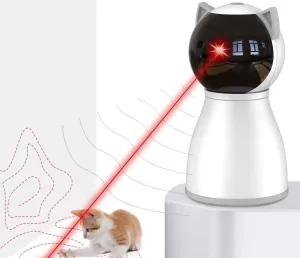 Dog laser toy